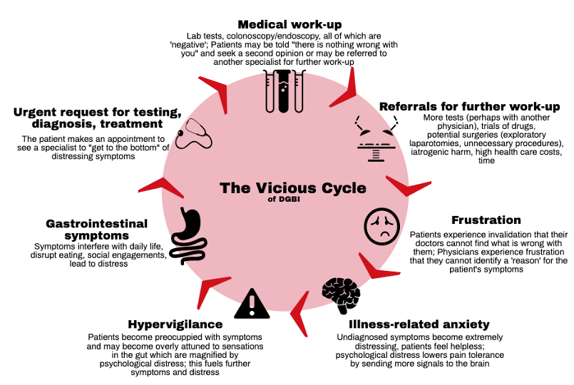 Cycle experienced with patients with DGBI