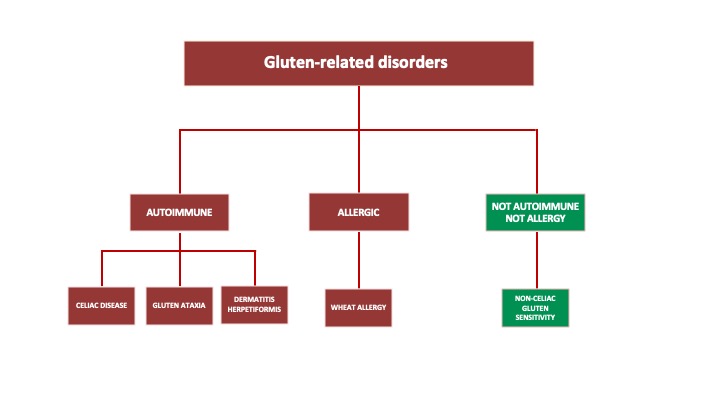 Gluten related disorders.